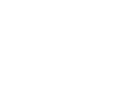 The Call of the Forest